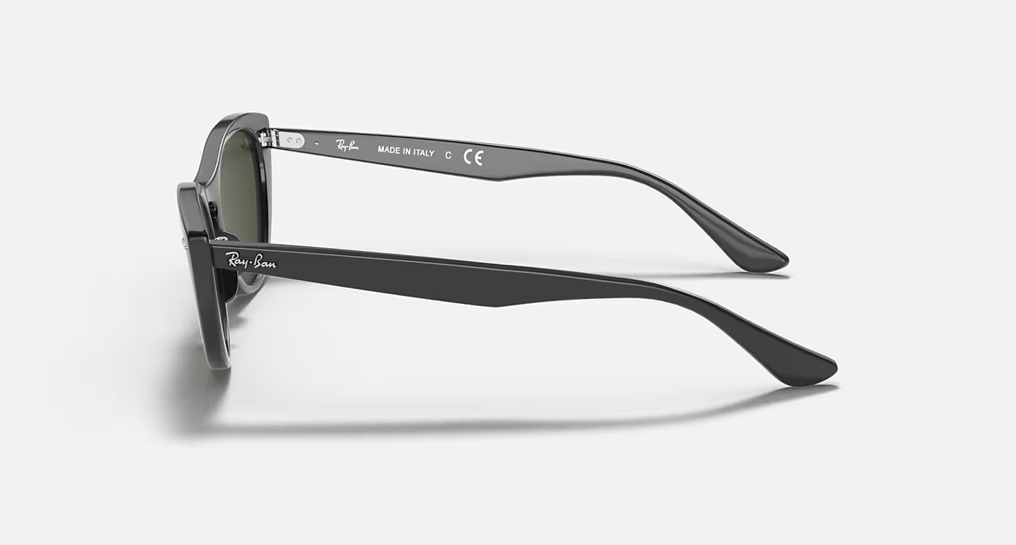 Lunettes de Soleil Ray-Ban RB4314N 601/31 – Noir & Vert G-15