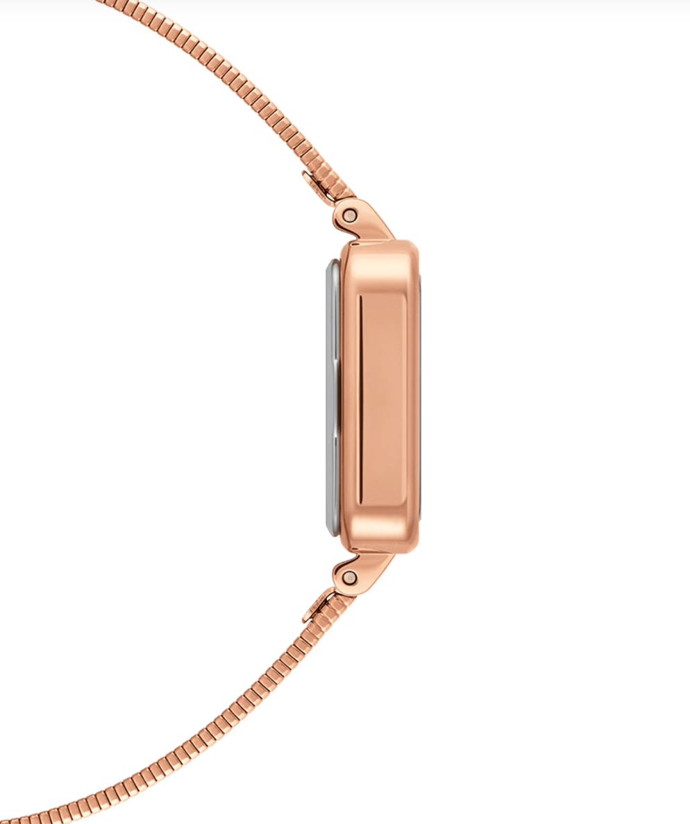 DANIEL WELLINGTON - Quadro Studio Rose Gold