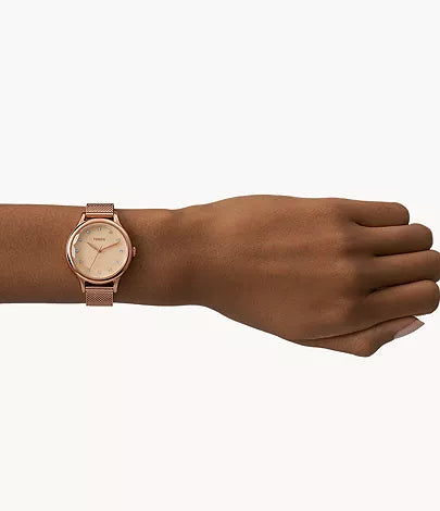 Montre Fossil Laney