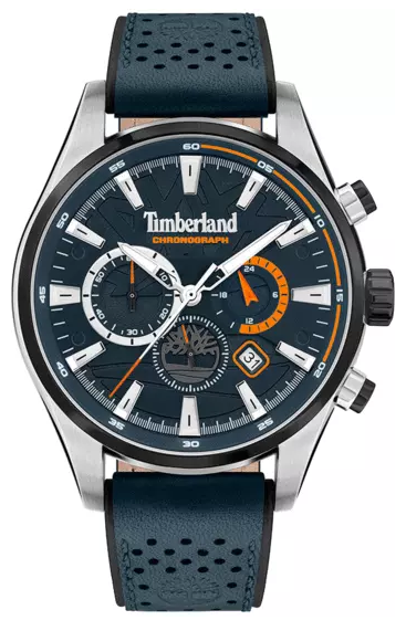 Montre Timberland Aldridge TDWGC2102403 Homme