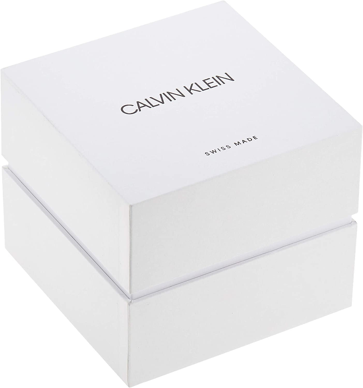 Montre Homme Calvin Klein Established