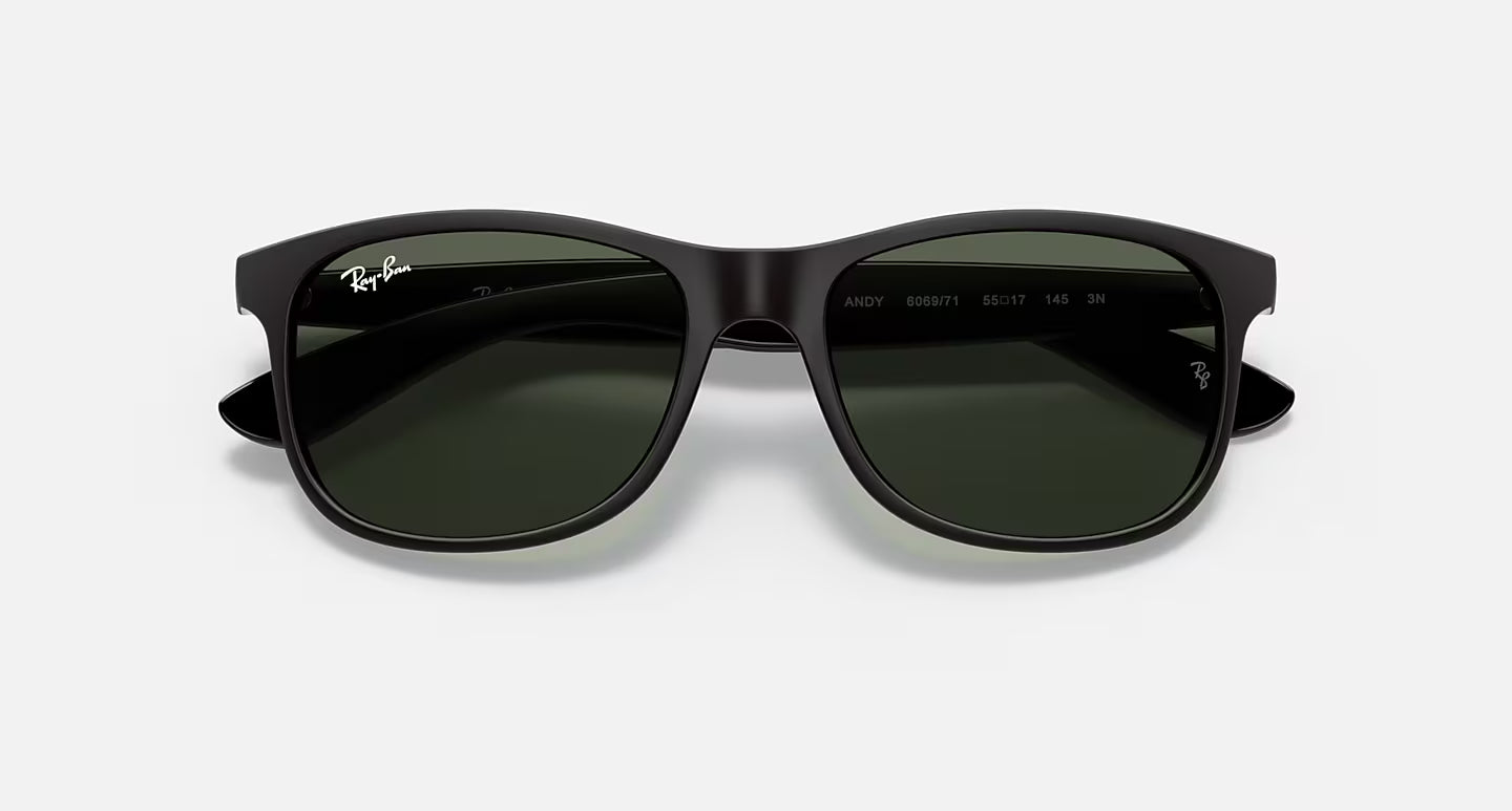 Lunettes de Soleil Ray-Ban RB4202 606971 – Noir Mat & Vert
