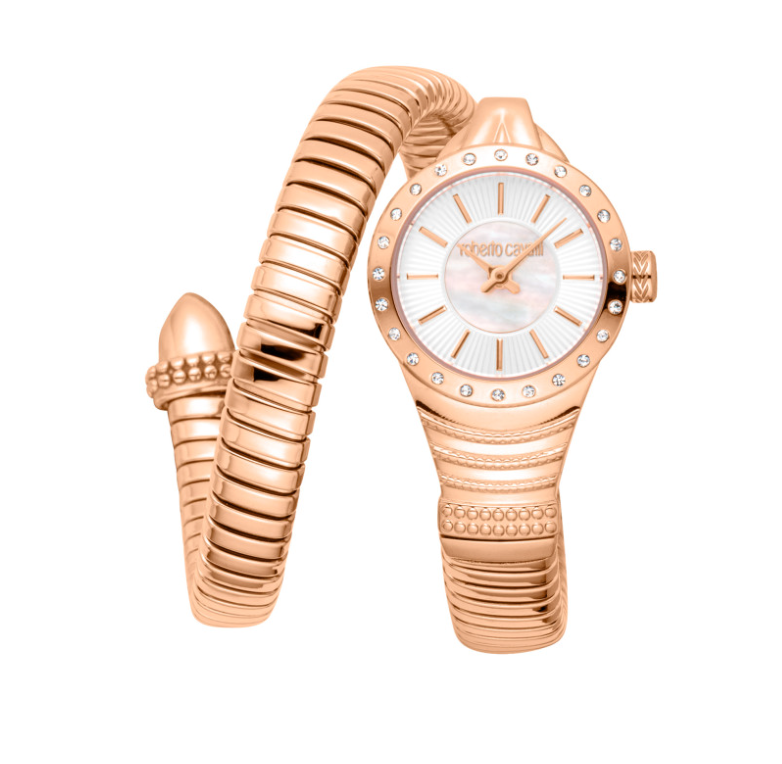 Roberto Cavalli RC5L114M0055 Montre Quartz Femme