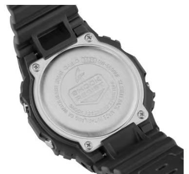 CASIO DW-5600UE-1ER