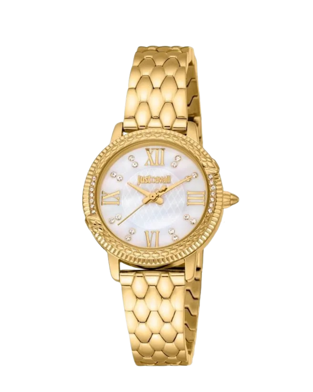 Montre Femme Just Cavalli Viperized JC1L267M0075