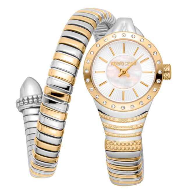 Montre Femme Roberto Cavalli RC5L114M0065 Doré