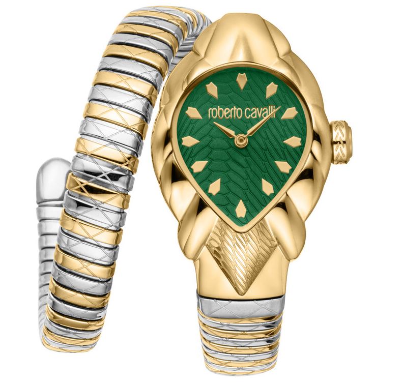Montre Femme Roberto Cavalli Fiaba RC5L110M0075 Doré