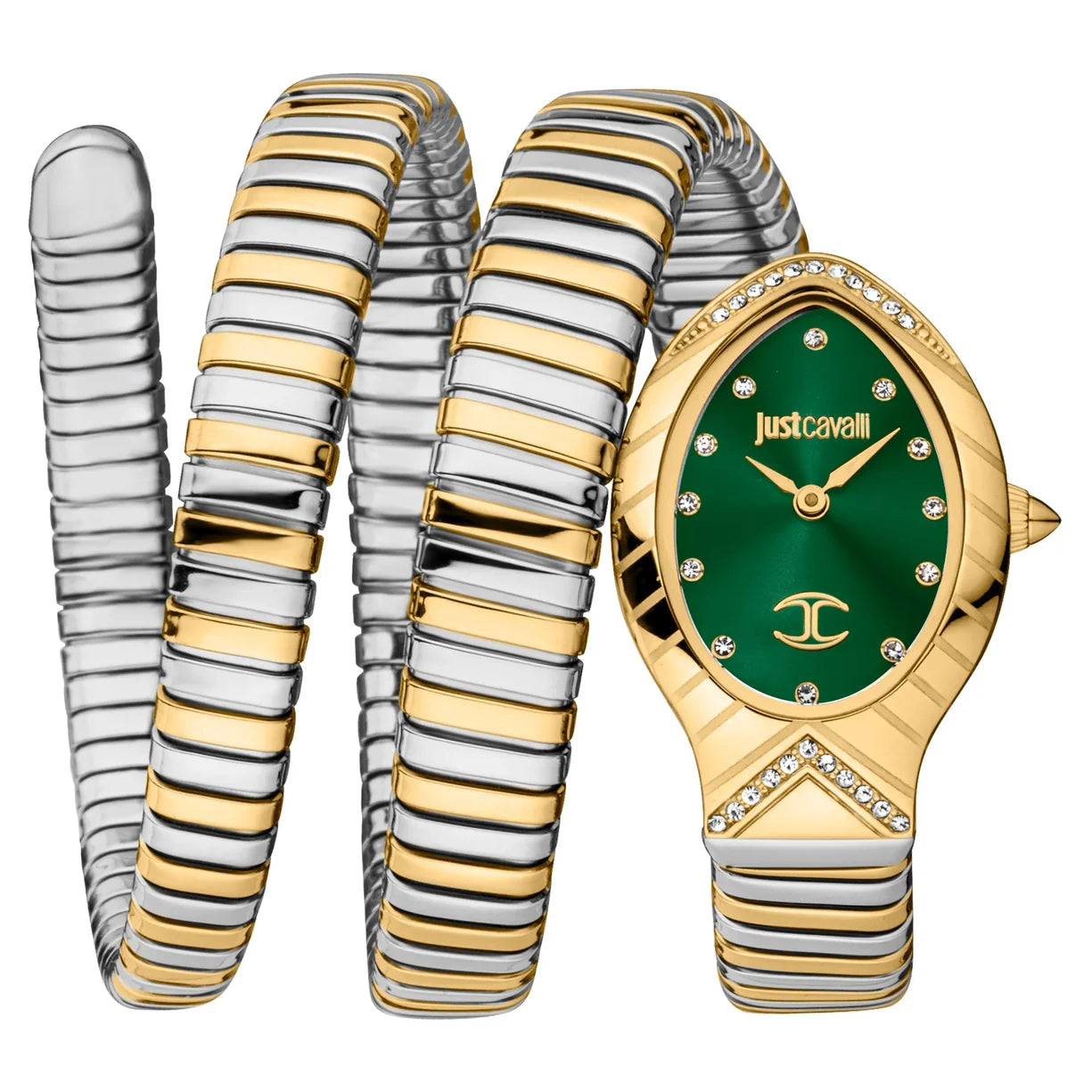 Montre Femme Just Cavalli Classico Lungo Two Tones YG Green