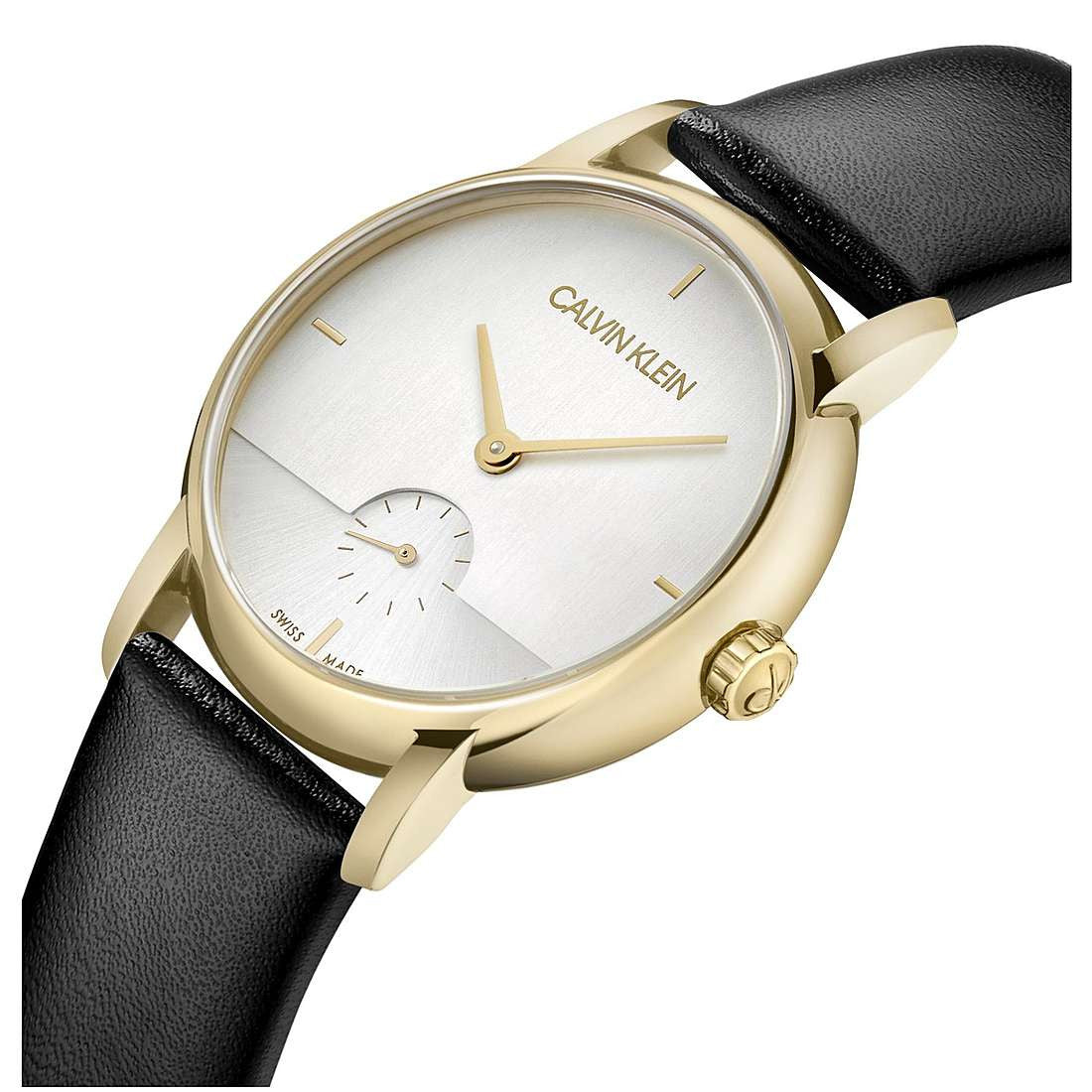Montre Homme Calvin Klein Established
