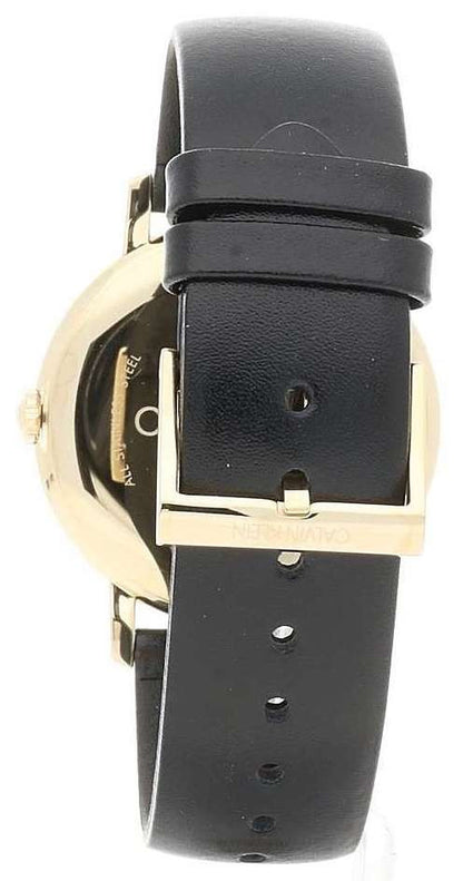 Montre Homme Calvin Klein Established