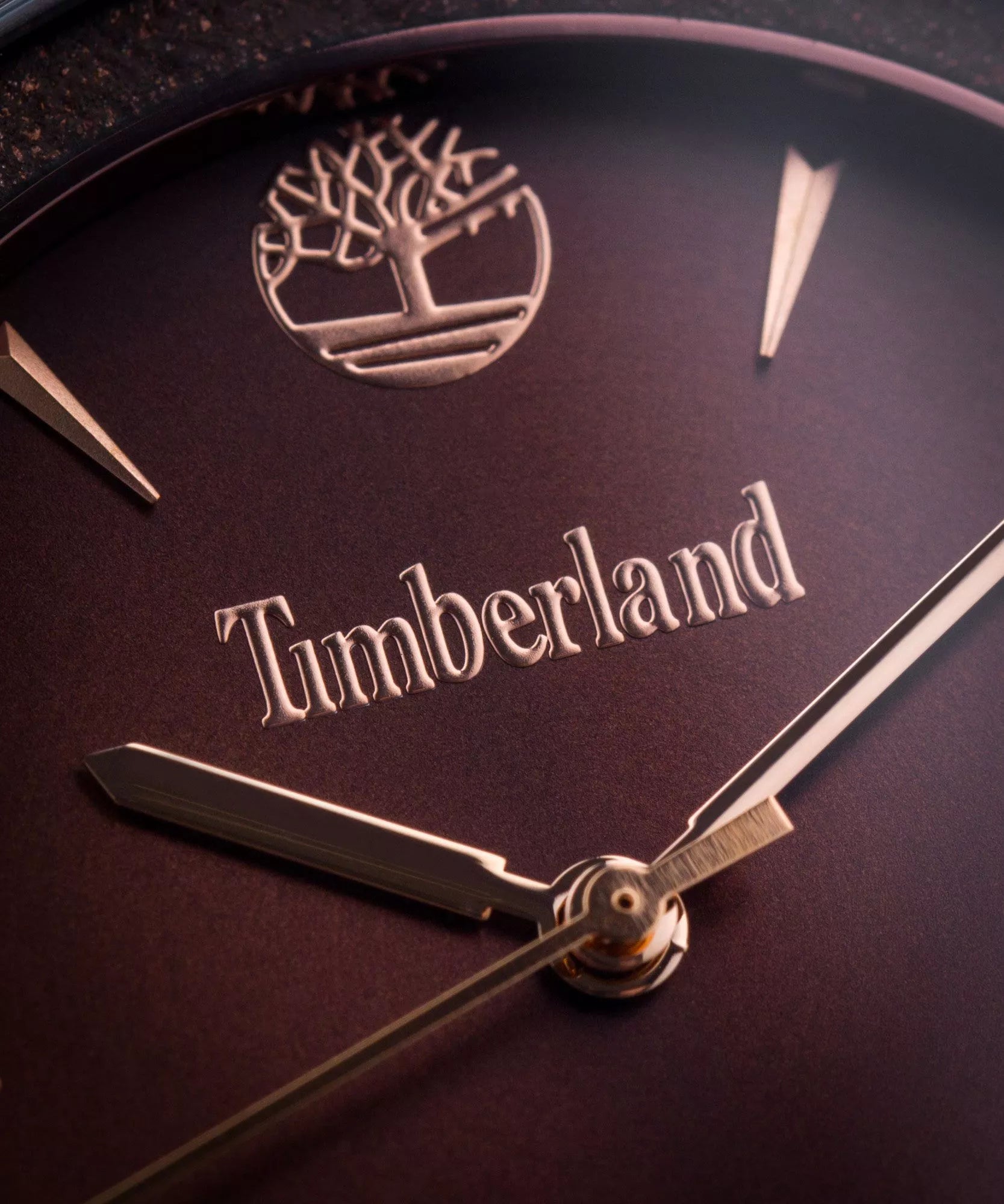 Montre Timberland Esmond TBL.15961MYBN/12MM